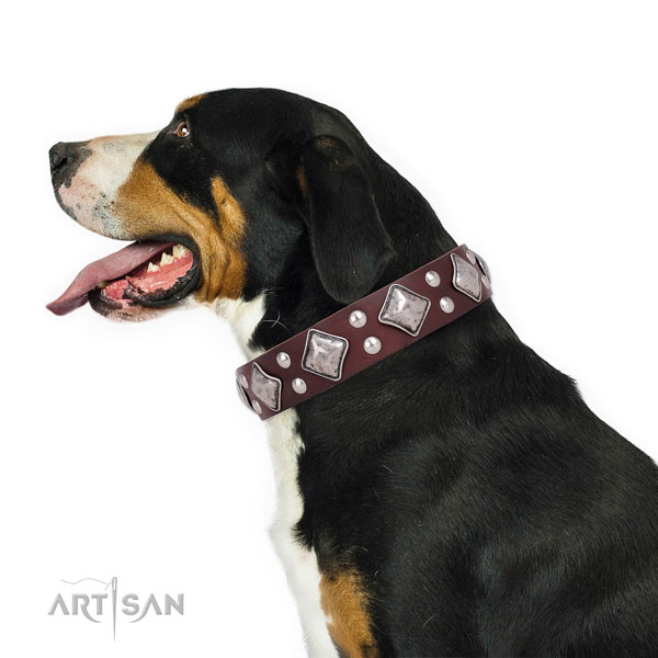 Everyday walking decorated dog collar made of high quality genuine leather