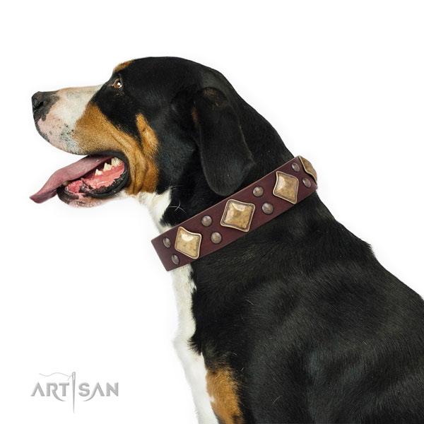 Comfortable wearing embellished dog collar made of best quality natural leather