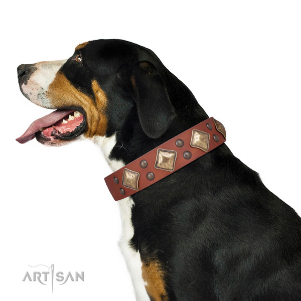 Everyday use embellished dog collar made of strong leather