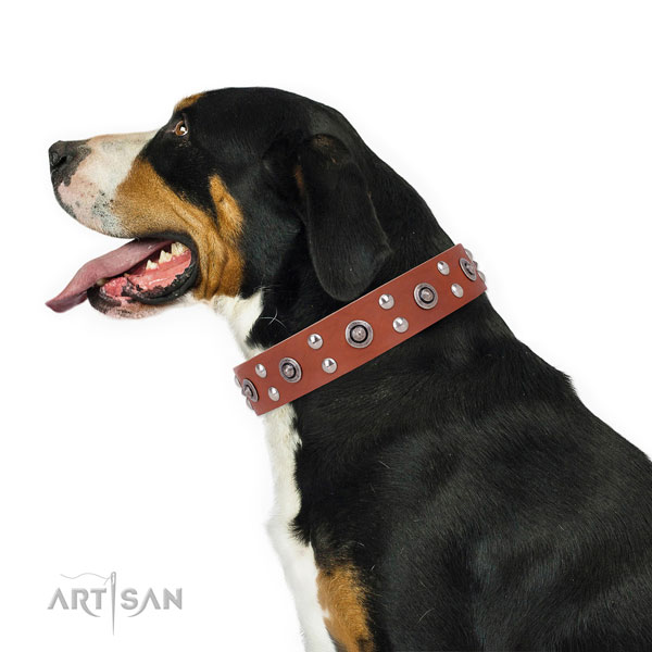 Stylish walking dog collar with stylish design decorations
