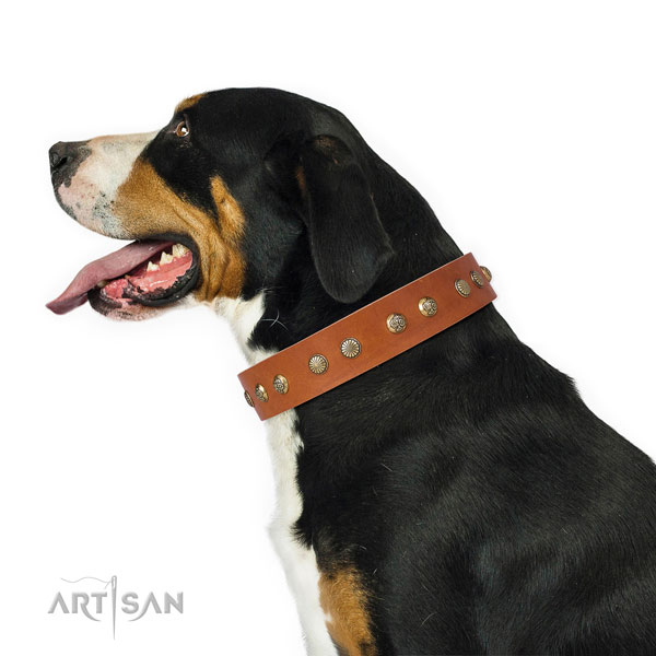 Exceptional adornments on stylish walking natural genuine leather dog collar