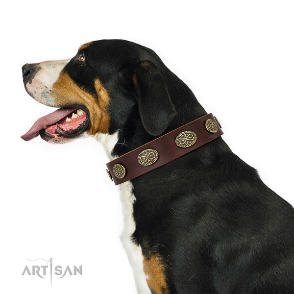 Trendy embellishments on basic training full grain genuine leather dog collar