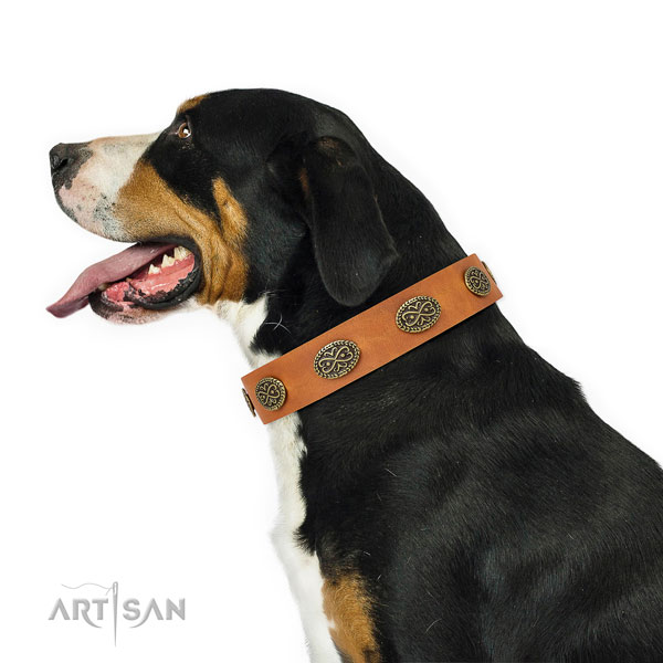 Extraordinary decorations on comfy wearing genuine leather dog collar