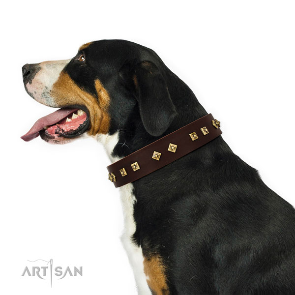 Top notch adornments on handy use genuine leather dog collar