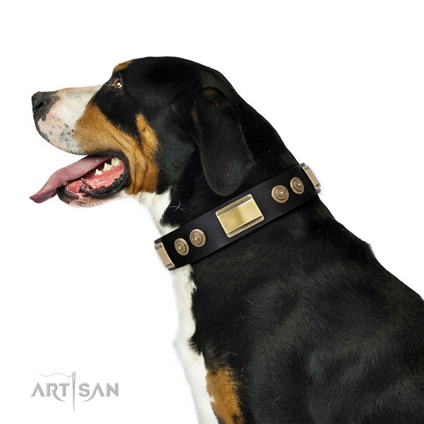 Significant studs on everyday walking dog collar
