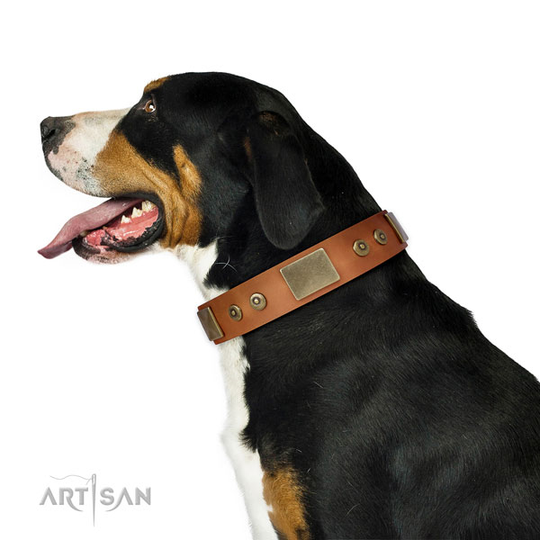 Durable daily walking dog collar of natural leather