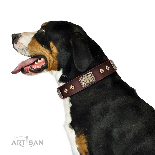 High quality daily use dog collar of leather