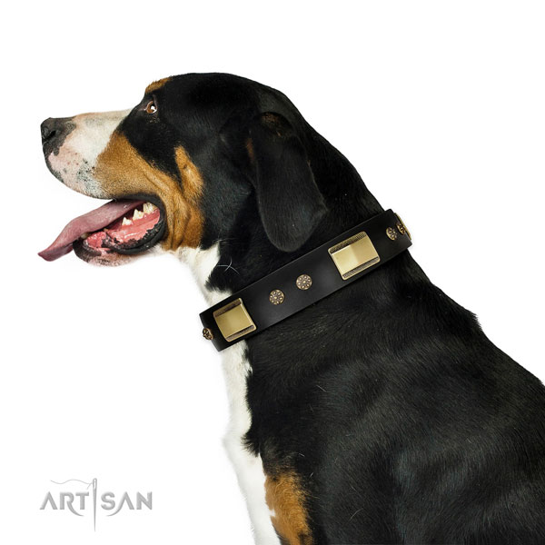 Daily use dog collar of genuine leather with stylish design studs