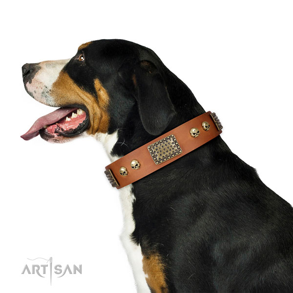 Rust-proof fittings on natural leather dog collar for comfy wearing