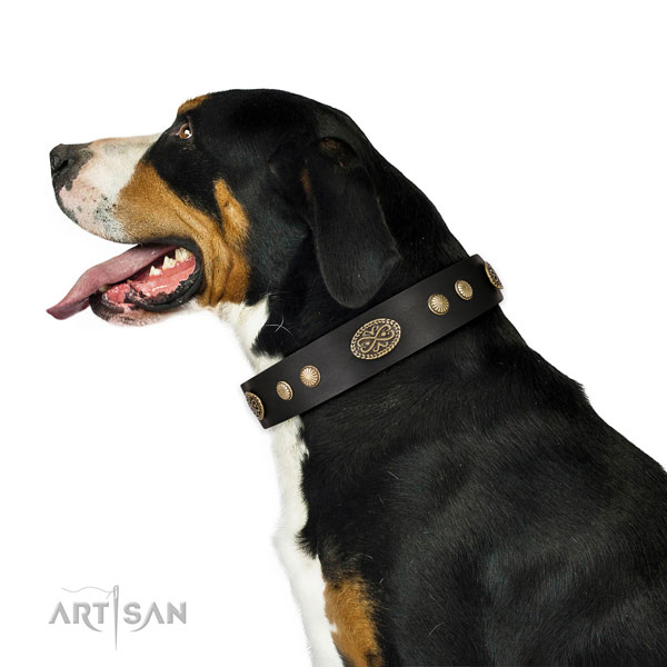 Corrosion proof buckle on full grain leather dog collar