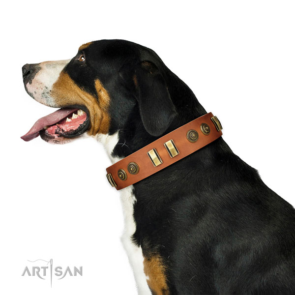 Corrosion resistant buckle on full grain natural leather dog collar for comfy wearing