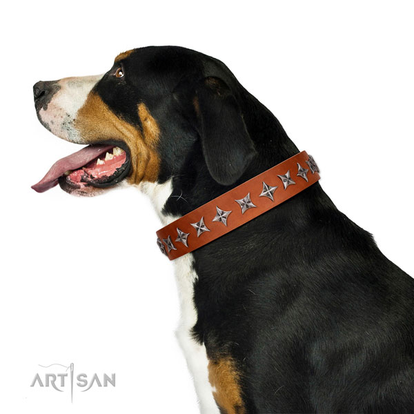 Top notch full grain genuine leather dog collar with incredible decorations