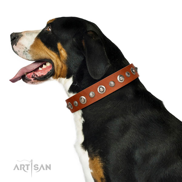 Full grain leather collar with rust resistant D-ring for your impressive dog