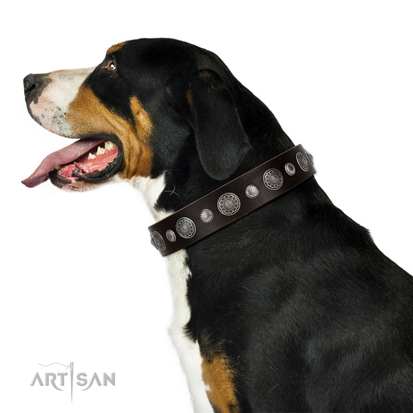 Designer genuine leather dog collar with rust-proof hardware