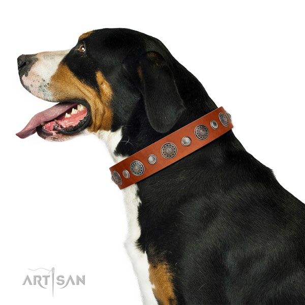 Convenient natural leather dog collar with rust-proof hardware