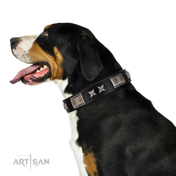 Comfy wearing top rate leather dog collar with studs