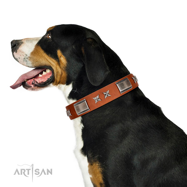 Daily use top notch genuine leather dog collar with adornments