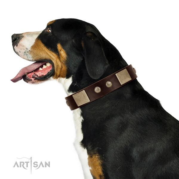 Rust-proof fittings on genuine leather dog collar for comfy wearing