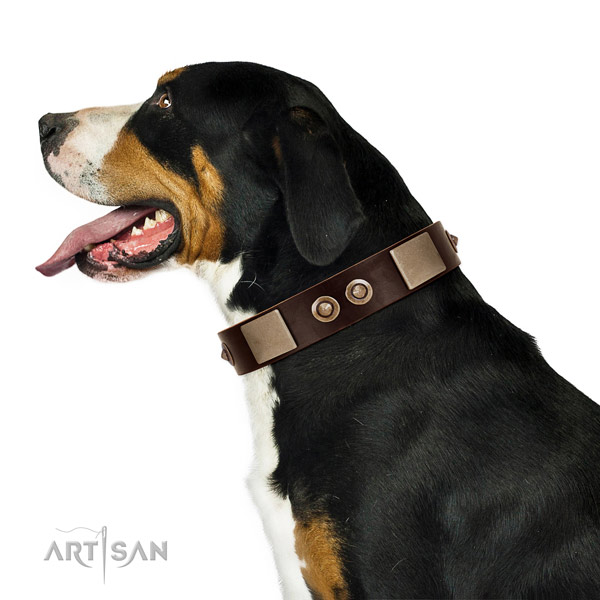 Corrosion proof buckle on full grain leather dog collar for basic training