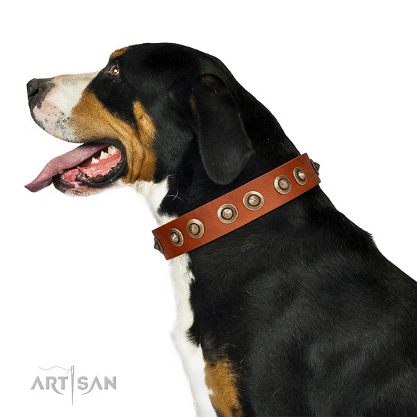 Everyday walking dog collar of natural leather with stylish design decorations