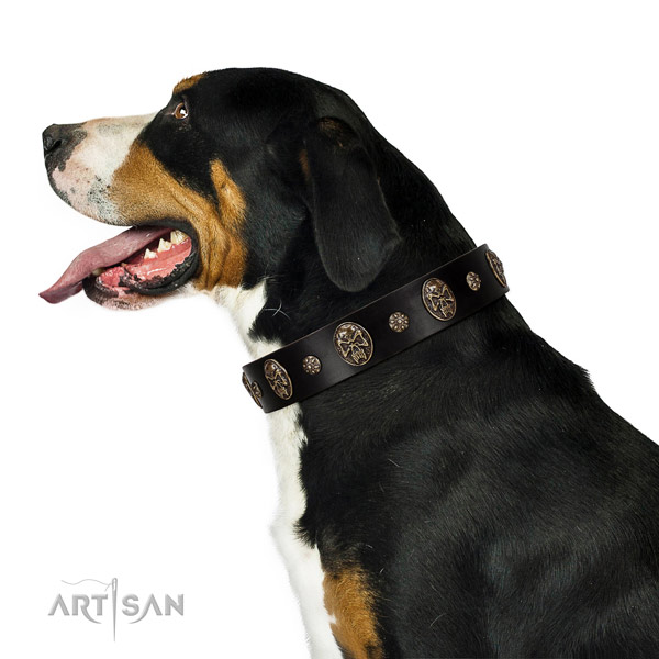 Walking dog collar of natural leather with significant adornments
