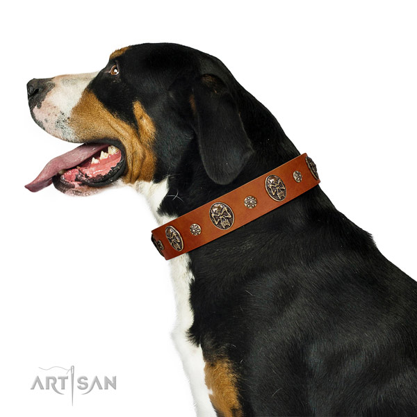 Stylish walking dog collar of leather with remarkable studs