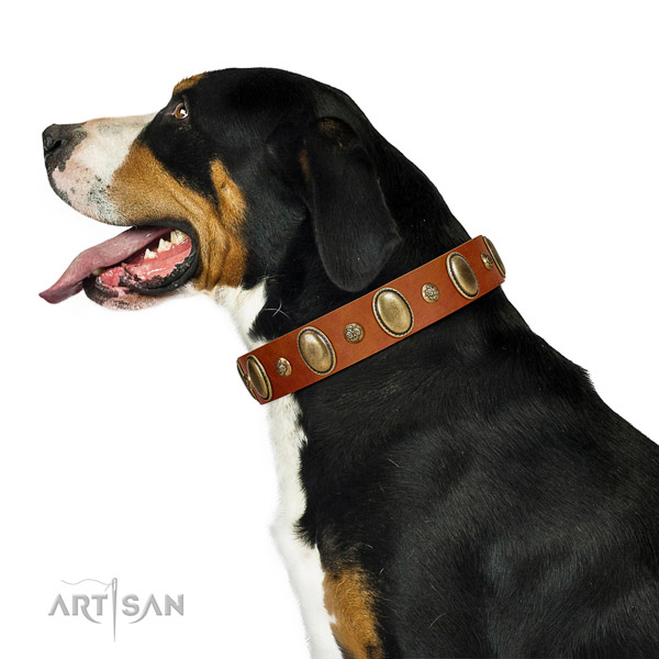 Unusual full grain natural leather dog collar with rust-proof hardware