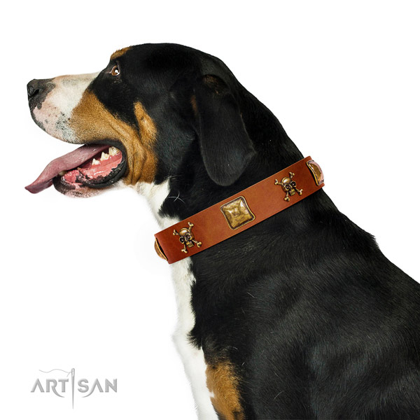 Amazing full grain leather dog collar with rust resistant studs