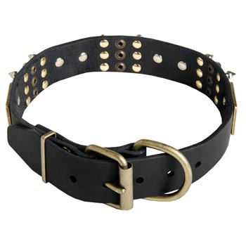 Studded Leather Swiss Mountain Dog Collar for Walking