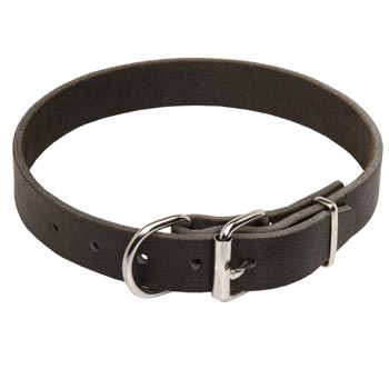 Dog Leather Collar for Swiss Mountain Dog Training and Walking