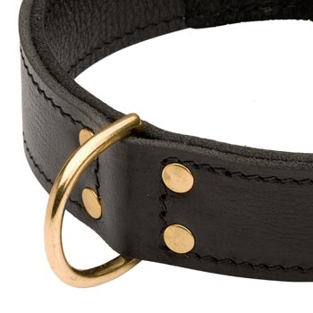 Brass D-ring Stitched to Leather Swiss Mountain Dog Collar