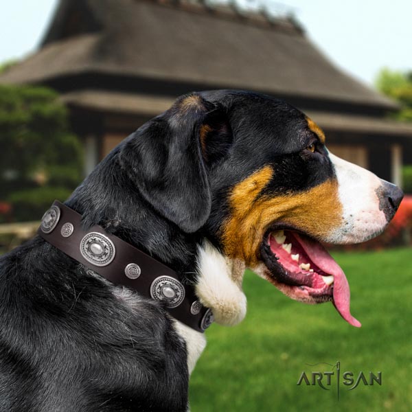 Swiss Mountain everyday use natural leather collar with decorations for your canine