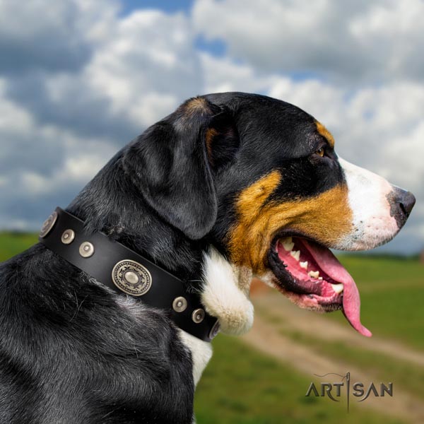 Swiss Mountain handy use full grain genuine leather collar with studs for your dog