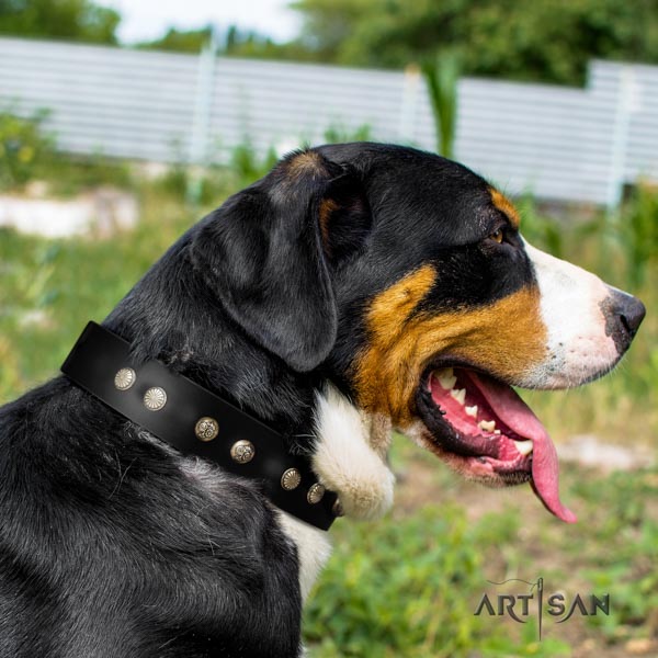 Swiss Mountain handy use natural leather collar with decorations for your dog