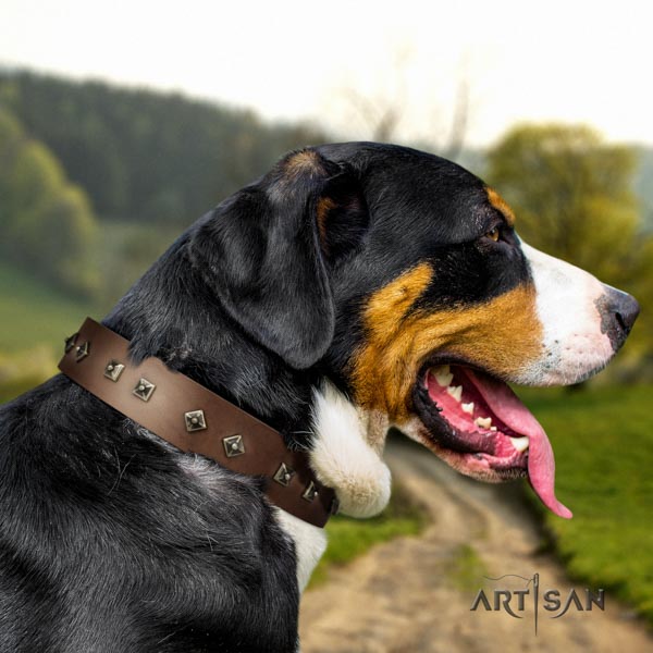 Swiss Mountain daily walking leather collar with studs for your canine