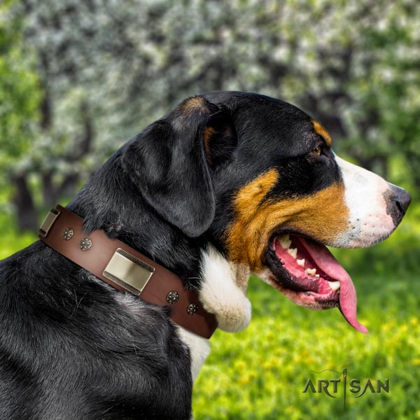 Swiss Mountain handy use full grain genuine leather collar with adornments for your canine