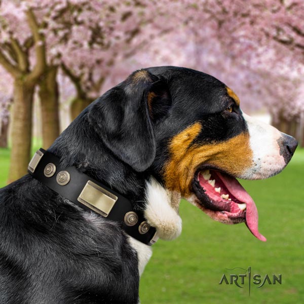 Swiss Mountain easy wearing full grain genuine leather collar with studs for your canine