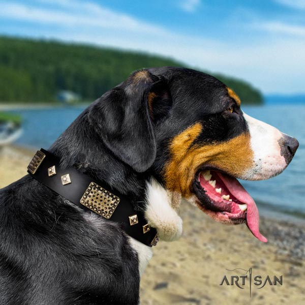 Swiss Mountain easy wearing full grain natural leather collar with decorations for your pet