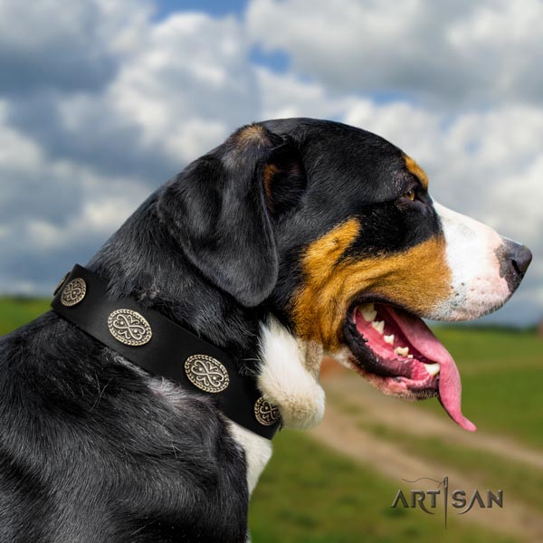 Swiss Mountain everyday walking full grain leather collar with adornments for your canine