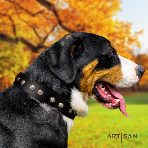 Swiss Mountain daily walking leather collar with studs for your doggie