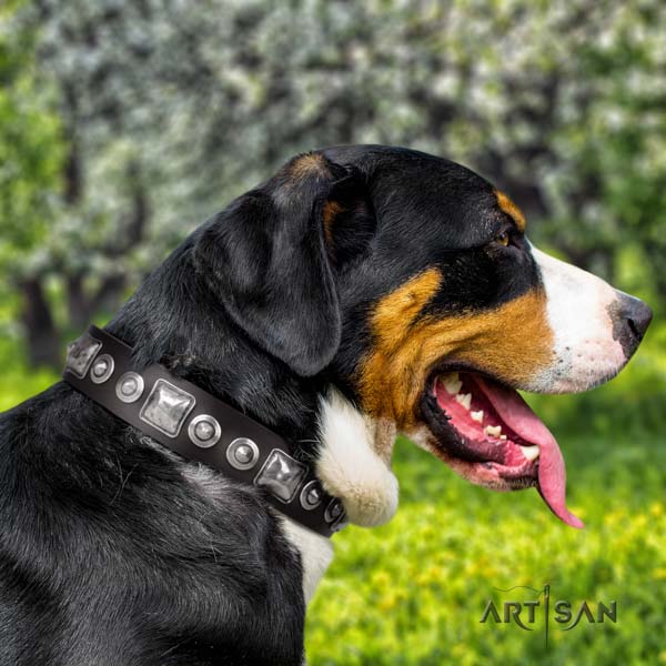 Swiss Mountain fancy walking full grain leather collar with embellishments for your dog