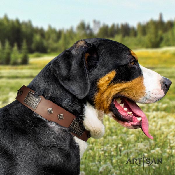 Swiss Mountain fancy walking full grain natural leather collar with studs for your four-legged friend
