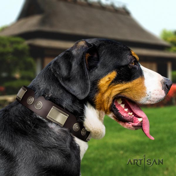 Swiss Mountain easy wearing full grain natural leather collar with studs for your doggie