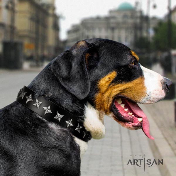 Swiss Mountain stylish walking leather collar with studs for your doggie
