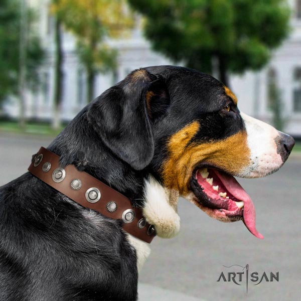 Swiss Mountain stylish walking genuine leather collar with decorations for your pet