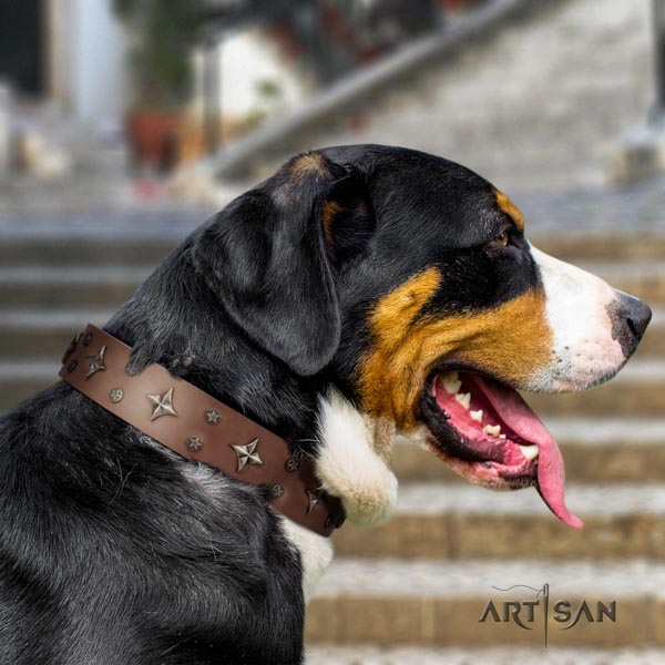 Swiss Mountain everyday use genuine leather collar with studs for your doggie