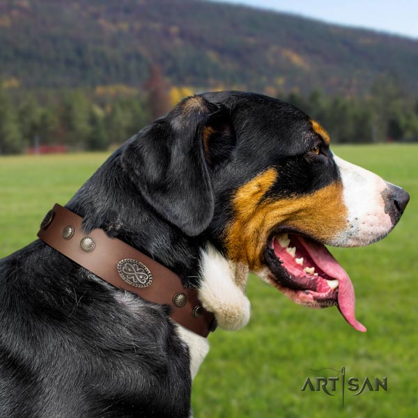 Swiss Mountain daily walking natural leather collar with embellishments for your four-legged friend