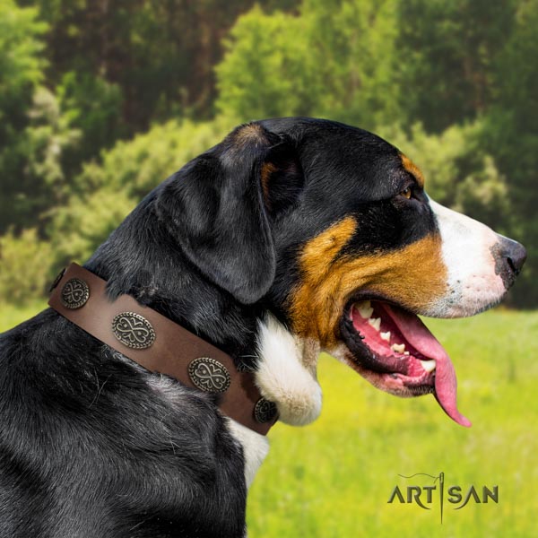 Swiss Mountain daily walking full grain genuine leather collar with adornments for your doggie