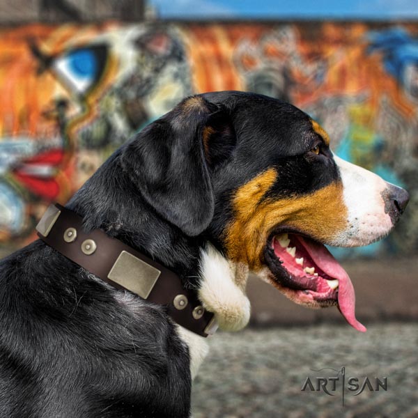 Swiss Mountain everyday use full grain leather collar with studs for your doggie