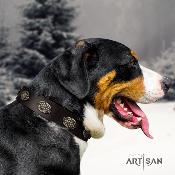 Swiss Mountain handy use leather collar with embellishments for your doggie